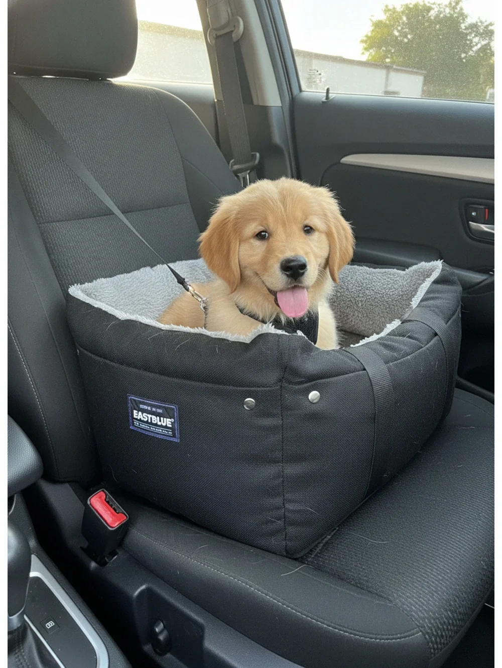 EasyBlue Pet Carrier Bed with Soft Plush Interior